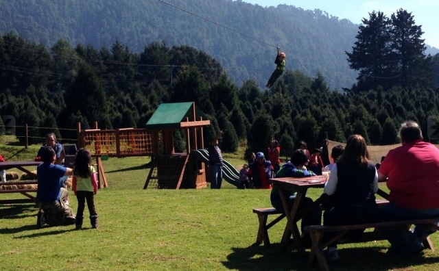  zip line a baldacchino 